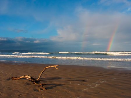 Beach scenic late afternoon with driftwood in the foreground and a rainbow on the horizonの写真素材