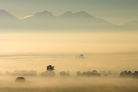 Trees in mist against a backdrop of mountains, early morning