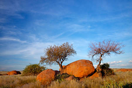 Landscape with granite boulders, trees and blue sky, Namibia, southern Africaの写真素材