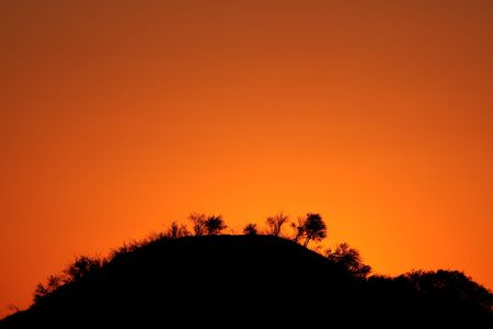 Silhouettes of trees and bushes on a ridge against a red sky at sunsetの写真素材