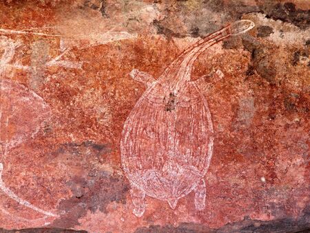 Aboriginal rock art depicting a turtle, Ubirr, Kakadu National Park, Northern Territory, Australiaの写真素材