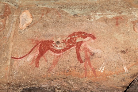 Bushmen - san - rock painting depicting a predator (cheetah), Drakensberg mountains, South Africaの写真素材