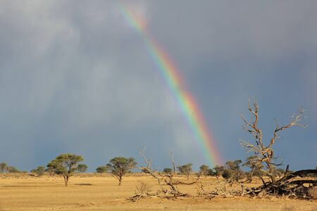 Desert landscape with a colorful rainbow and heavy rain clouds, Kalahari, South Africaの写真素材