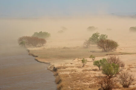 Severe sand storm with windblown trees on the edge of a lake, South Africa