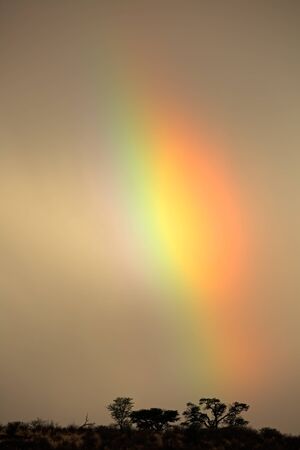 Landscape with a colorful rainbow in stormy sky, Kalahari desert, South Africaの写真素材