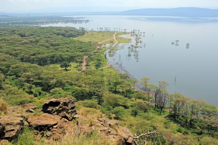Scenic landscape view of Lake Nakuru National Park, Kenyaの写真素材
