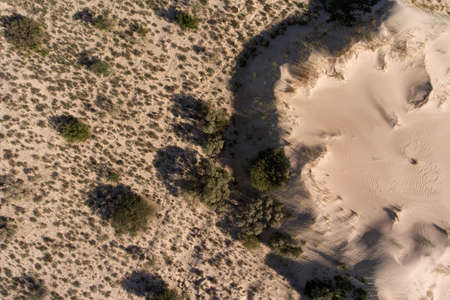 Aerial view of massive sand dunes in the arid region of the Northern Cape, South Africaの写真素材