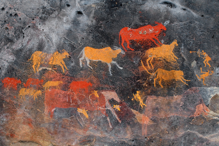 Bushmen (san) rock painting of antelopes, South Africaの写真素材