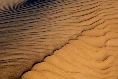 Patterns and textures on a desert sand dune created by the wind, South Africaの写真素材
