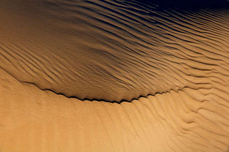 Patterns and textures on a desert sand dune created by the wind, South Africa