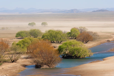 Dust storm with windblown trees on a dry floodplain, South Africa