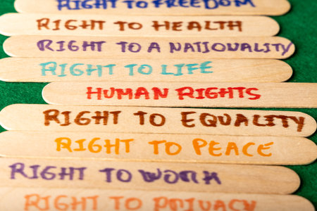 Wooden popsicle sticks featuring human rights inscriptions, set in the middle of the image. The photo is horizontally aligned with a vivid green backgroundの写真素材