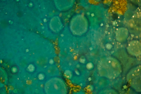 Oil bubbles in water produce an abstract display of vivid colors and mesmerizing textures.の写真素材