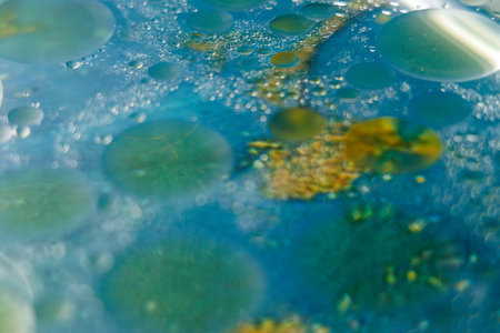 A macro view of colorful oil bubbles floating on water, forming intricate and abstract designs.の写真素材