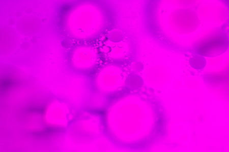 Floating oil droplets interact with water, forming abstract shapes in vibrant hues, creating a visually engaging and unique artwork.の写真素材