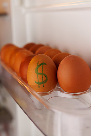 Refrigerator door with brown eggs in egg holders, one egg has a dollar sign, symbolizing the rising cost of eggs in the USAの写真素材