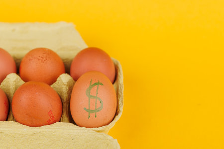 A dozen brown eggs in a carton, one egg painted with a dollar sign, reflecting the surge in egg prices across the United Statesの写真素材