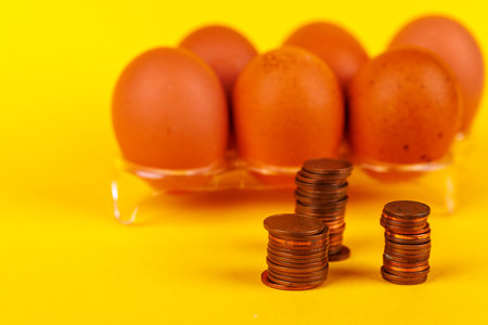 Eggs and Coins: Symbolizing Inflation and Rising Food Prices in Americaの写真素材