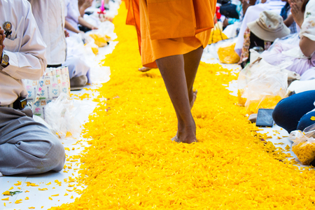 Suphan Buri THAILAND -January, 2016 : 1,131 Monks from Wat Phra Dhammakaya make a pilgrimage at  Lotus land : Phramongkolthepmuni Nataive Place :Amphur Song Pee Nong:Suphan Buri Provinceのeditorial素材