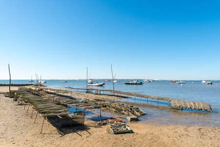 Arcachon Bay, France. Oyster bed at low tideの写真素材