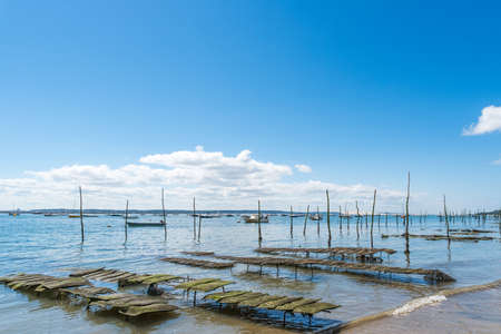 Arcachon Bay, France, oyster beds in front of the dune of Pylaの写真素材
