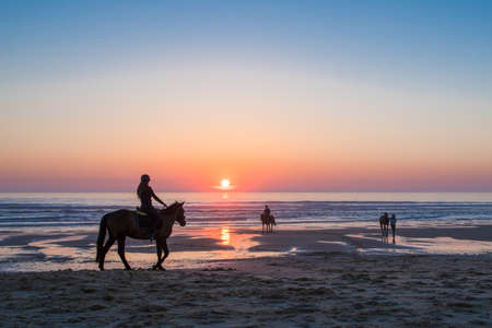Horses at sunset on the beach of Le Porge, near Lacanau, Franceの写真素材