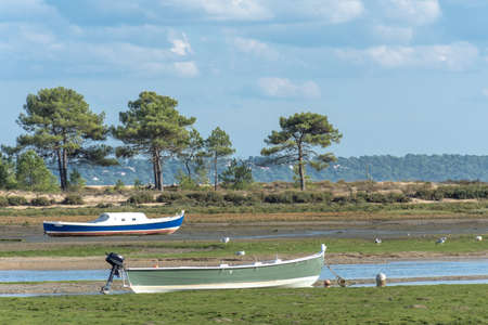 Cap Ferret, Arcachon Bay, France. The bay at low tideの写真素材