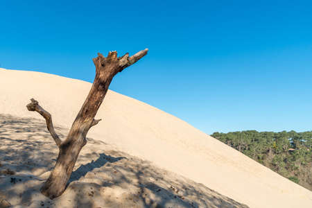 Arcachon Bay, France. The dune of Pilatの写真素材