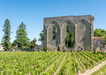 Saint Emilion, France. Vineyards and ruins in the village