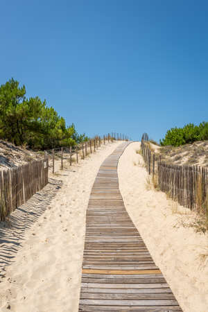 Arcachon Bay, France. Access to the beach Salie close to the dune of Pilatの写真素材