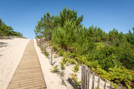 Arcachon Bay, France. Access to the beach The Lagoon close to the dune of Pilatの写真素材