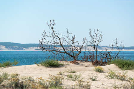 The point of Cap Ferret on the Arcachon Bay, Franceの写真素材