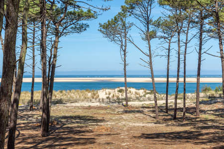 Arcachon Bay, France. View over the sand bank of Arguin