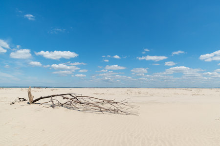 Le Verdon, in Medoc, in the department of Gironde. The beach Saint-Nicolasの写真素材
