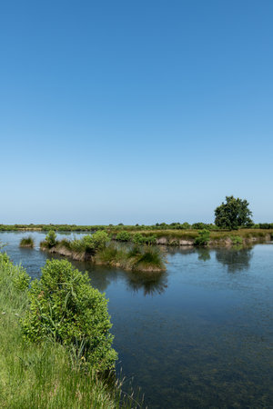 Arcachon Bay, France. The nature reserve of Certes and Graveyron in Audenge