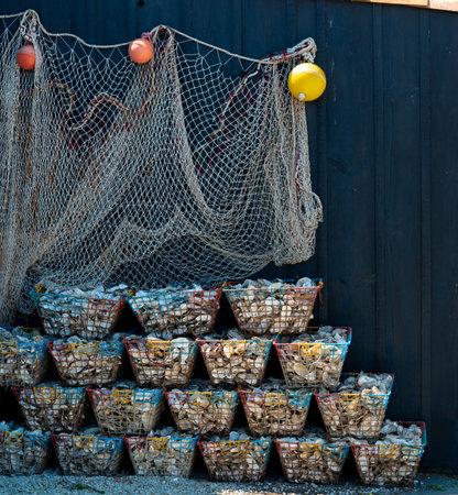 Oleron Island, in Charente-Maritime. Detail of a wooden hut in the fishing port of Saint Trojanの写真素材