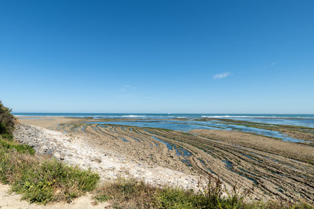 Oleron Island in Charente-Maritime. The rocky coast of the north of the islandの写真素材
