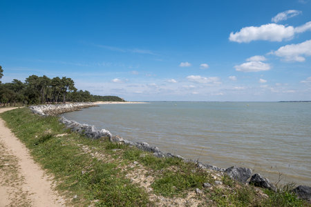 Oleron Island (Charente Maritime, France). Gatseau bay in Saint-Trojanの写真素材