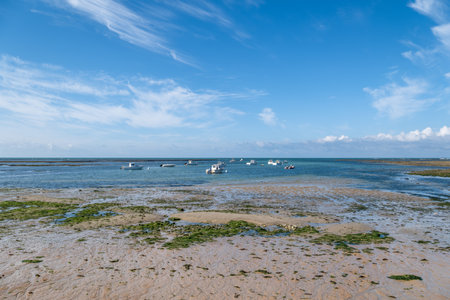 Oleron island (Charente-Maritime, France). The beach Les Placelles at Saint-Pierre