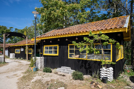 Cap Ferret (Arcachon Bay, France). Old oyster tasting hut in the oyster district of Les Jacquetsの写真素材