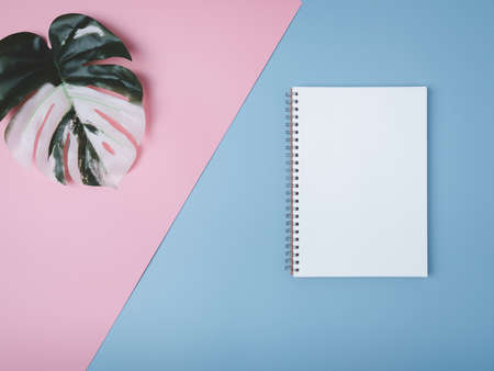 Creative layout made of colorful tropical leaves on pink and blue background. Flat lay of home...