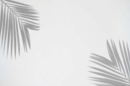 Realistic and organic tropical leaves natural shadow overlay effect on white texture background.の写真素材