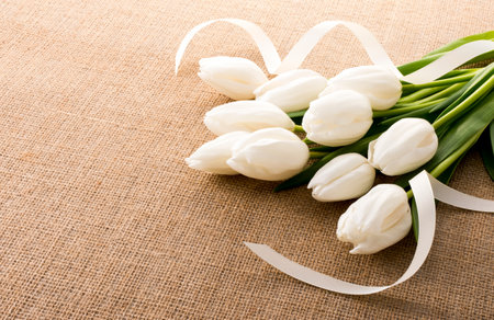 Bouquet of white tulips with ribbon on jute backgroundの写真素材