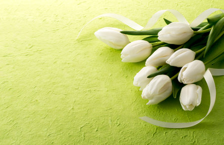 Bouquet of white tulips on a green background with copy spaceの写真素材