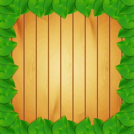Green leaves background. のイラスト素材