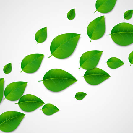 Green leaves background. のイラスト素材
