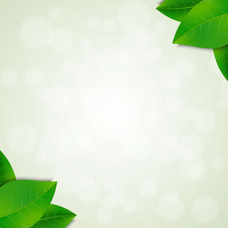 Green leaves background.のイラスト素材