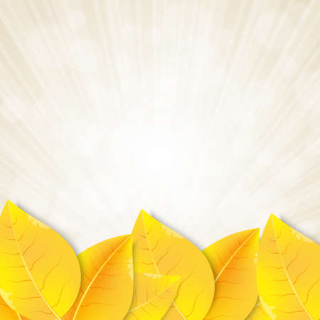 Autumn backgroundのイラスト素材