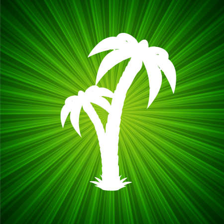 Palm treeのイラスト素材