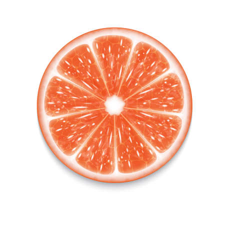Grapefruit sliceのイラスト素材